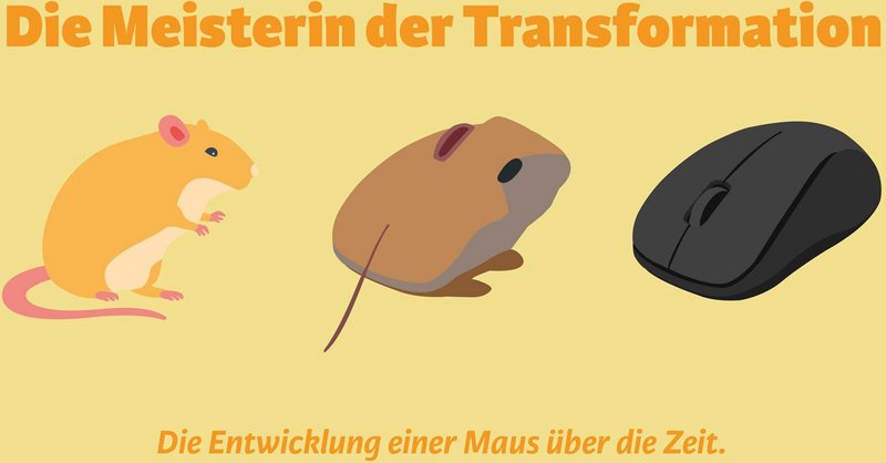 ZLI Basislehrjahrprojekt Transformation