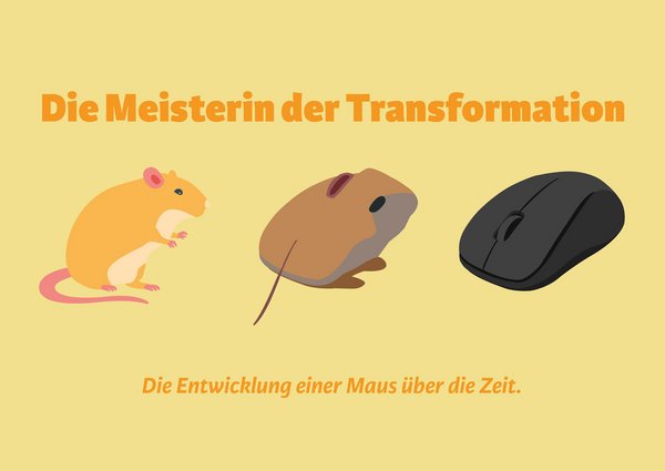 ZLI Basislehrjahrprojekt Transformation